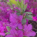 여수공항(2층출발1번게이트앞) | 김포공항 국내선 1주차장 주차비 하이브리드 출국장 후기