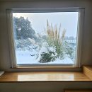 의귀하루 이미지