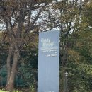 코지스 | 홍게 먹고 포항에서 묵은 코지스위트 펜션 후기