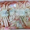 구룡포 과메기 이미지