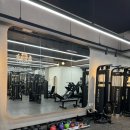 로하핏 스튜디오 | 운동일기, 문정동 PT 로하핏 스튜디오 수업 후기(2)