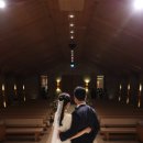 플로리스트차선빈 | 아펠가모 광화문 5월의 웨딩 실제 후기(홀분위기, 포토테이블, 신부대기실, 직원서비스, 연회장음식...