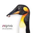 독일시그니아보청기 이미지