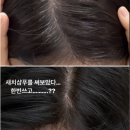 물염색약 후기 보다 더 만족💙 샴푸하며 천연 새치염색 하는 셀프 새치염색약 추천