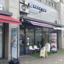 체스 | 송파역 애견미용🐕 퍼플포우 펫살롱🐾에서 체스의 미용 후기.