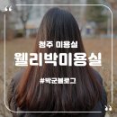 웰리박미용실 네이버블로그