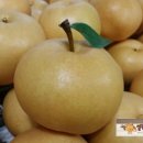 열린농장 이미지