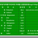 카리스팜스