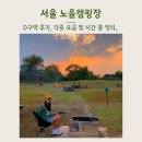 인동저녁노을 | 서울 노을캠핑장 D구역 피크닉 후기, 주차장, 매점, 샤워실, 반려견 각종 요금 총정리