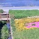 보행자전용도로 이미지