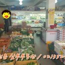 싱싱한 야채 청과 이미지