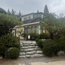 담세커피 | 김포 양촌 담세커피 강아지랑 가볼만한 애견카페