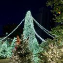 제이트리 이미지