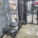 머슬컴퍼니 이미지