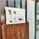 오닉스스킨테라피 이미지