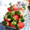 본궁농장 이미지