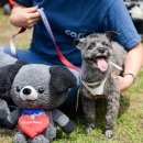 초복농장 이미지