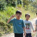 풀내음힐링캠프 이미지