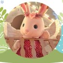 바니베어뮤지엄 이미지