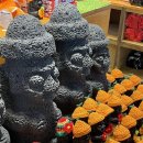 사계올레
