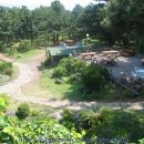 솔빛바다 이미지