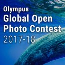 올림푸스 글로벌 오픈 포토 콘테스트 2017-18(2018-02-26) 이미지