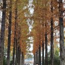 아이퍼스트플러스 이미지