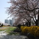 금오산길 이미지