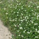 한빛스포츠센터 이미지