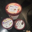 브라운버즈 | [갤럭시 버즈3 프로 케이스 추천] 하겐다즈 케이스 장단점 정리