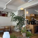 방배로19길 21 (1) 이미지