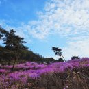 금성면사무소 이미지