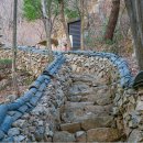 순천-79호 이미지