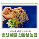 이금옥농장 네이버블로그