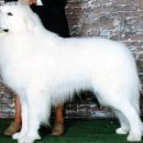 서초3동016 이미지