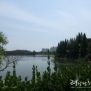 커피베이군산 이미지