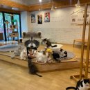 집사의 하루 일산점 이미지