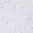 디에이치월드 이미지