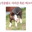 지리산흑돈 - 전주시 완산구 | 지리산흑돈