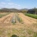 와촌면사무소 이미지