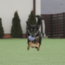 뽀아 하우스 이미지