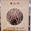 스트릿1988용인