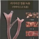 원용농장 이미지