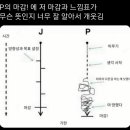 퍼플피자 이미지