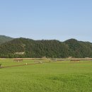 예당공원민박 | [임신일기12] 임신 35주(D-27) 만삭여행 후기와 주의사항(순천만국가정원/순천만습지/순천야시장/여수...