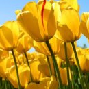 토지농원민박 이미지