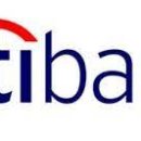 <b>시티 은행</b> : C (NYSE)의 설립 배경, 발전 방향, 배당 성향, CEO 소개