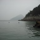 도화낚시 이미지