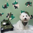 반야시스터 이미지