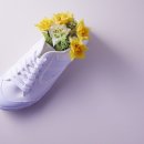 하얀운동화 이미지